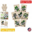 seeds hydroponic herb variety pack - nongmo for planting garden indoors