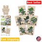 seeds hydroponic herb variety pack - nongmo for planting garden indoors