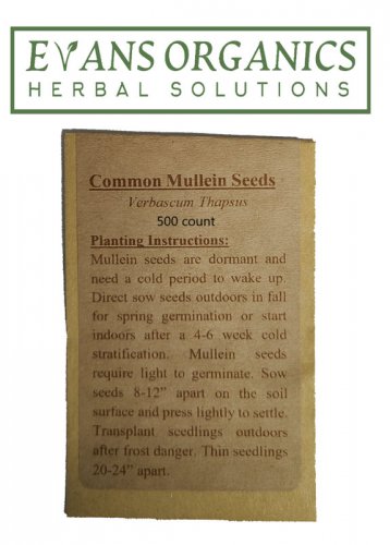 seeds mullein 1000 ct.