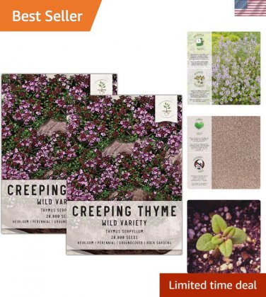seeds wild creeping thyme for full sun - moisture-resistant packaging