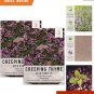 seeds wild creeping thyme for full sun - moisture-resistant packaging