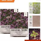 seeds wild creeping thyme for full sun - moisture-resistant packaging