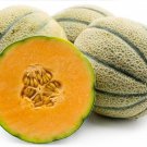 15 extra sweet tuscan cantaloupe seeds,