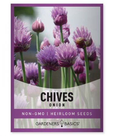 seeds onion chives