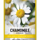 seeds german chamomile