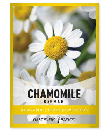 seeds german chamomile