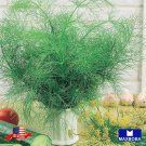 seeds non-gmo 800 dill - bouquet (organic) heirloom bogo 50% off