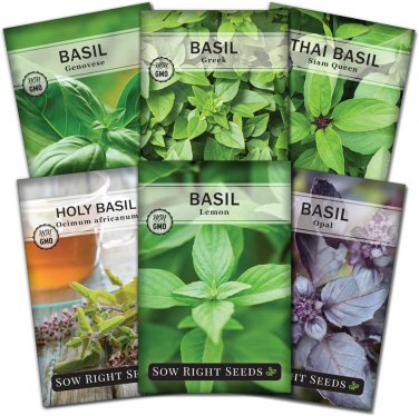 - large basil seed collection for planting genovese, greek, opal, thai, and le