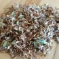 seeds red clover herb 50
