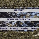 1 seeds cup of dried stinging nettle (urtica dioica) 1.2 oz (usa seller)