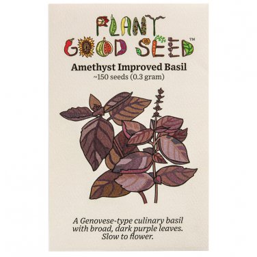 seeds amethyst improved basil