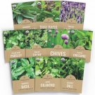 seeds 10 organic herb variety pack - varieties culinary pack, green