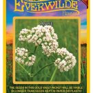 300 seeds anise herb - everwilde farms mylar seed packet