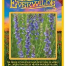 2000 seeds hyssop herb - everwilde farms mylar seed packet