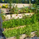13 herb garden collection, large, heirloom seeds, top varieties of