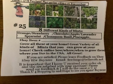 8 seed mints: spearmi/cinnm/choc/strawber/lavendr/apple/orange/pineapple #25