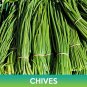 seeds chives