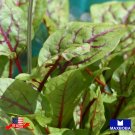 seeds 500 red veined sorrel heirloom non-gmo btgo 75% off
