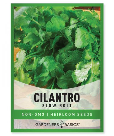 seeds slow bolt cilantro
