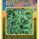 2000 seeds licorice basil herb - everwilde farms mylar seed packet