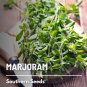 100 seeds marjoram, sweet - medicinal & culinary herb gmo (origanum maj