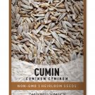 seeds cumin