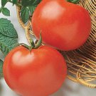 seeds 10 multi variety tomato herb types non gmo heirloom beefsteak cherry zebra