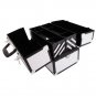 Professional Large Aluminum Makeup Train Case Box Cosmetic Jewelry Organizer
