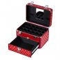 Makeup Train Case with 24 compartments Nail polish storage 1 Drawer Professional