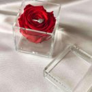 Acrylic Flower Box Clear Decor Square Rose Pot Holder Cosmetic Makeup Organizer