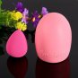 Makeup Brush Sponge Puff Brushegg