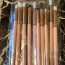 10 piece Pro Makeup Eyeshadow & Lip Brush Tools ~ FREE SHIPPING!!!!