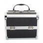 High Quality Artist Makeup Train Case Jewelry Cosmetic Organizer Storage Lock