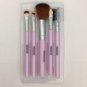 5Pcs Professional Makeup Brush Set