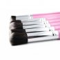 10Pcs Makeup Brushes Cosmetic Blusher Eye Face More Foundation Hot Girl Pink New