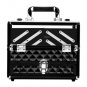 14" Pro Aluminum Makeup Train Case Travel Cosmetic Organizer Case Jewelry Box US