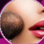 Activated Carbon Makeup Sponge Brush Dry Cleaning Eye Shadow Brush Cleaning Box