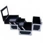 Large Pro Aluminum Makeup Train Case Box Jewelry Cosmetic Organizer w/ Mirror