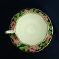 Vintage Needle Point Royal Albert Tea Cup and Saucer, Excellent Condition