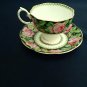 Vintage Needle Point Royal Albert Tea Cup and Saucer, Excellent Condition