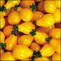 Beam's Yellow Pear, heirloom tomato seeds