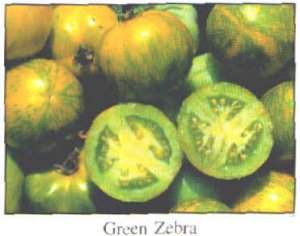 Green Zebra tomato seeds, small bi-color