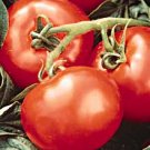 Heatwave II tomato seeds