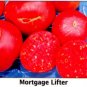 Mortgage Lifter tomato seeds, heirloom