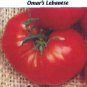 Omar's Lebanese tomato seeds, huge pink