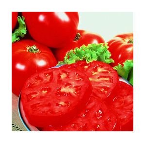 Supersteak tomato seeds, beefsteak