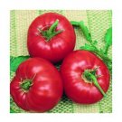 Whopper tomato seeds