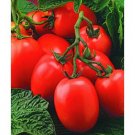 Window Box Roma tomato seeds