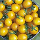 Blondkopfchen heirloom yellow cherry tomato seeds Blondkopfchen heirloom yellow cherry tomato seeds