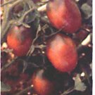 Saljut heirloom plum / grape type  tomato seeds